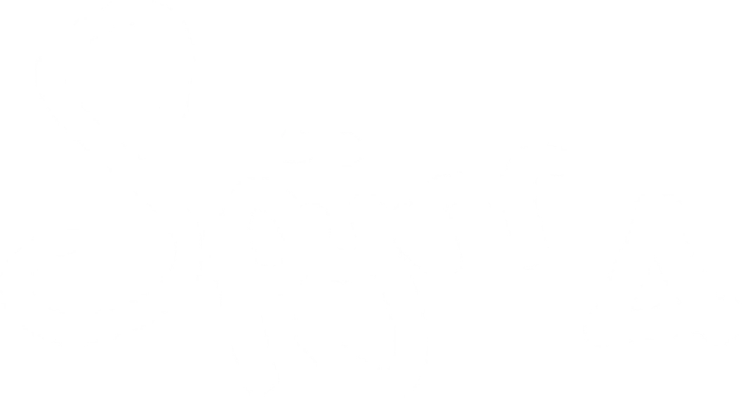 Logo Spyrr