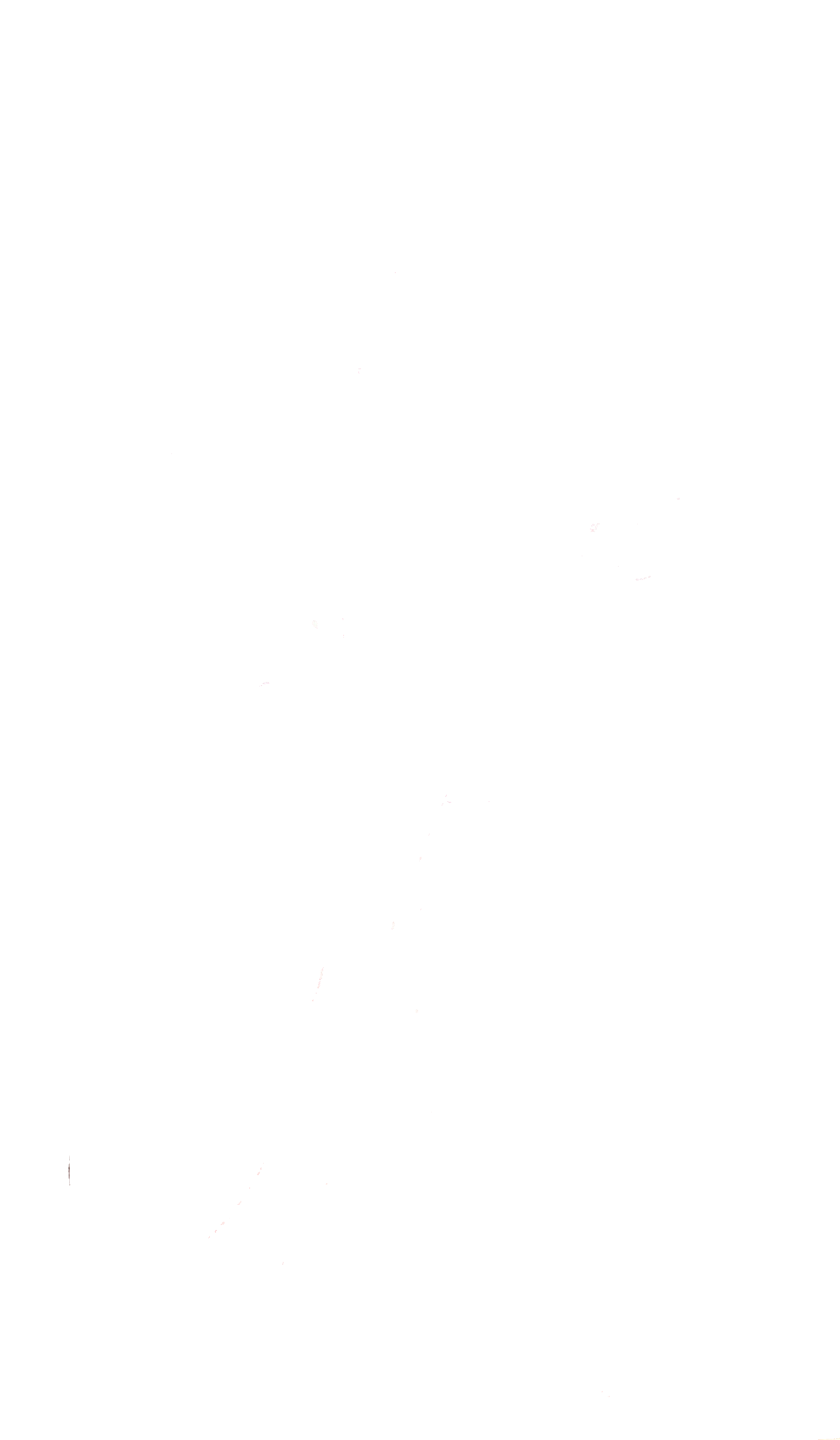 Ange